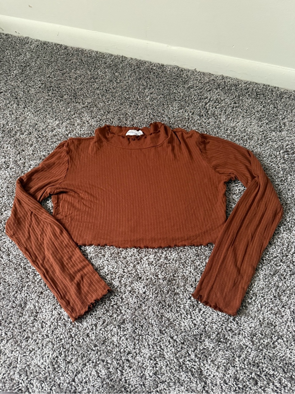 Long-Sleeve Crop Top